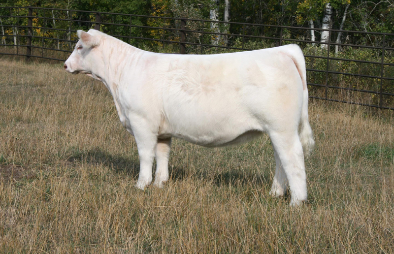 MISS PRAIRIE COVE 44H